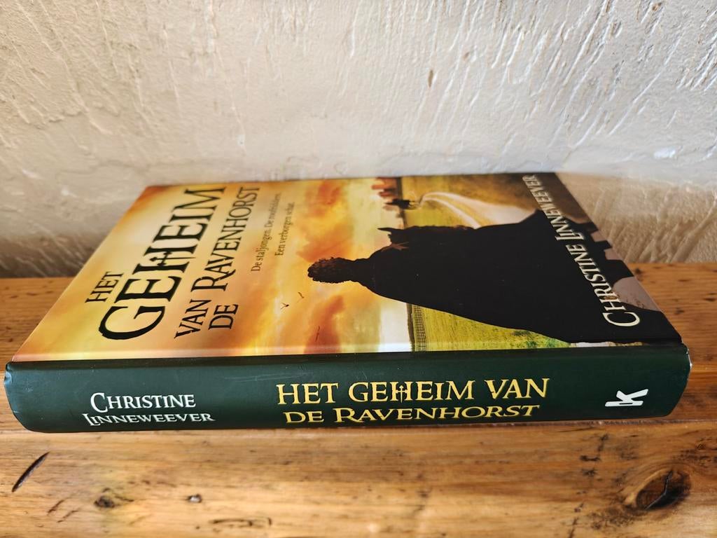 Het geheim van de Ravenhorst., Ophalen of Verzenden