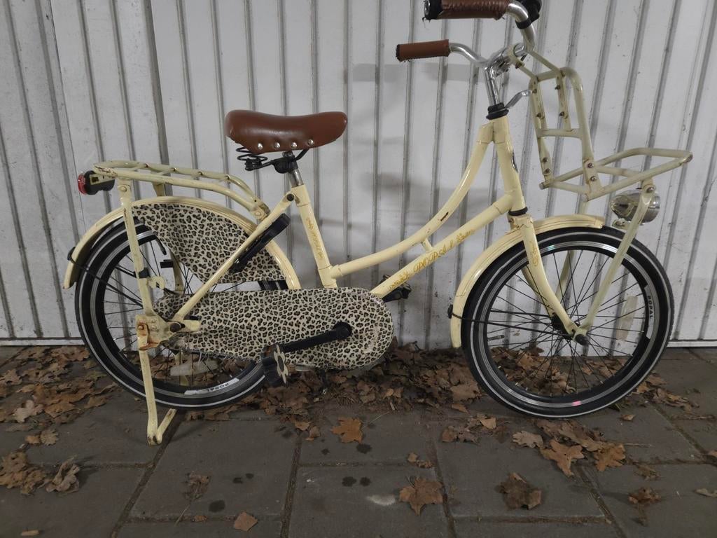 Nette popal meisjes fiets 20 inch, Fietsen en Brommers, Ophalen, Gebruikt, 20 inch of meer