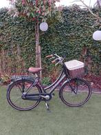 Cortina Damesfiets, Omafiets, Transportfiets, Versnellingen, Zo goed als nieuw, 50 tot 53 cm, Ophalen