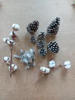 Decoratie Grote dennenappels, soort katoenplant en veertjes., Huis en Inrichting, Woonaccessoires | Overige, Ophalen of Verzenden