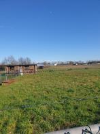 Weide te huur 7500 m2