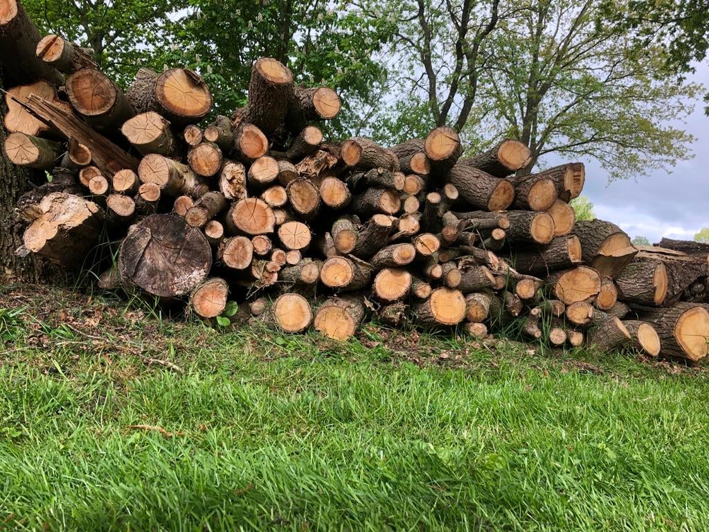 Openhaardhout 1,5 kuub, lengte 1m, zelf ophalen, Minder dan 3 m³, Ophalen, Eikenhout, Stammen