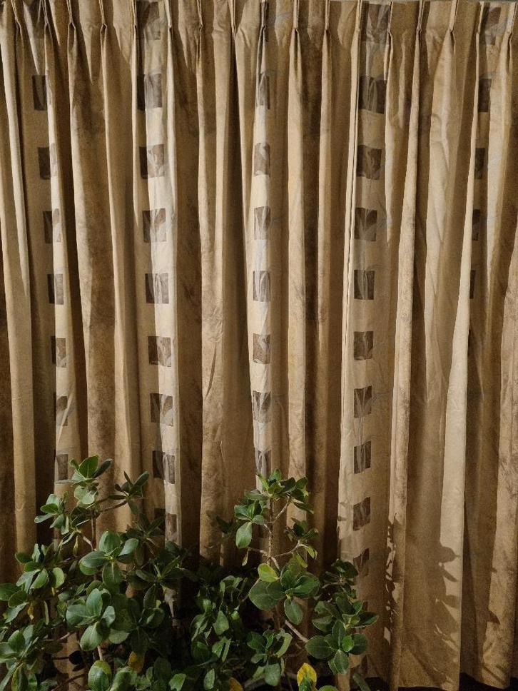 Prachtige kamerhoge gordijnen, Huis en Inrichting, Stoffering | Gordijnen en Lamellen, Zo goed als nieuw, 200 cm of meer, 200 cm of meer