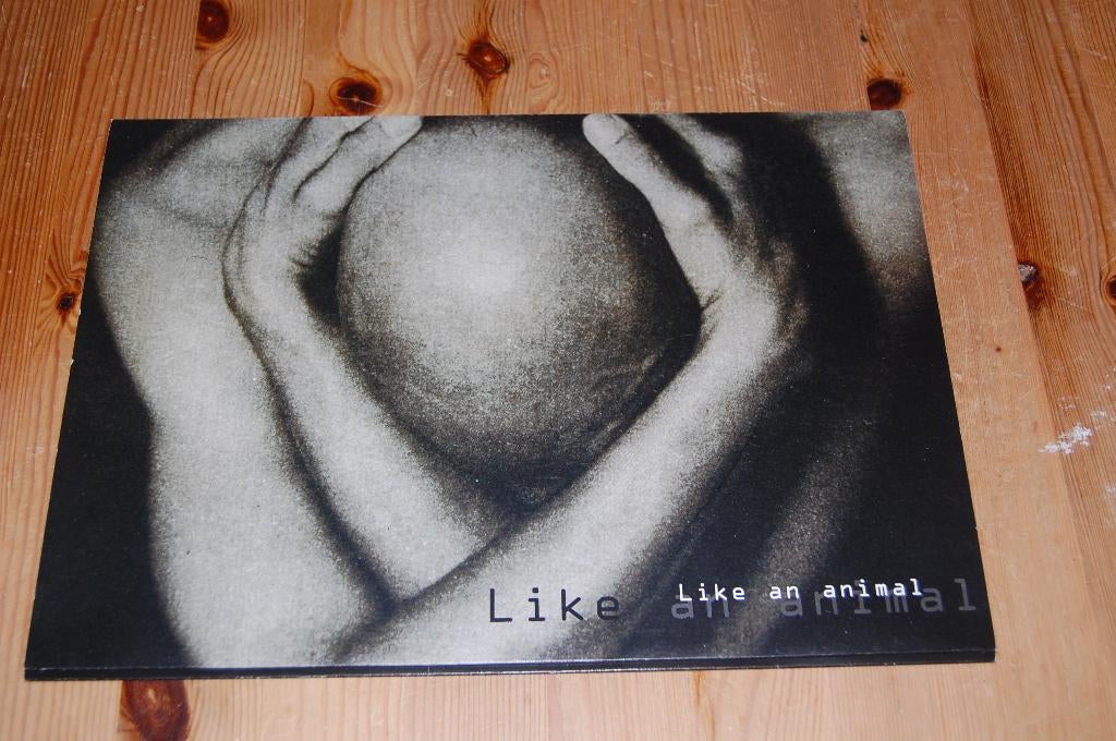 Cagiva Raptor 1000, Ophalen of Verzenden, Overige merken