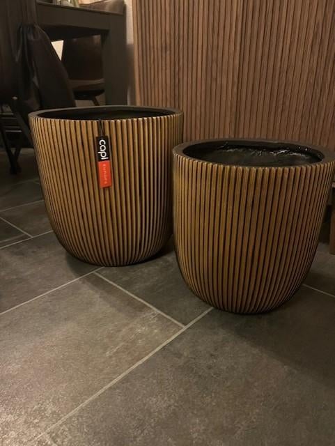 nieuwe capi bloempotten voor binnen groove gold vaas, Ophalen of Verzenden, Nieuw, 20 meter of meer
