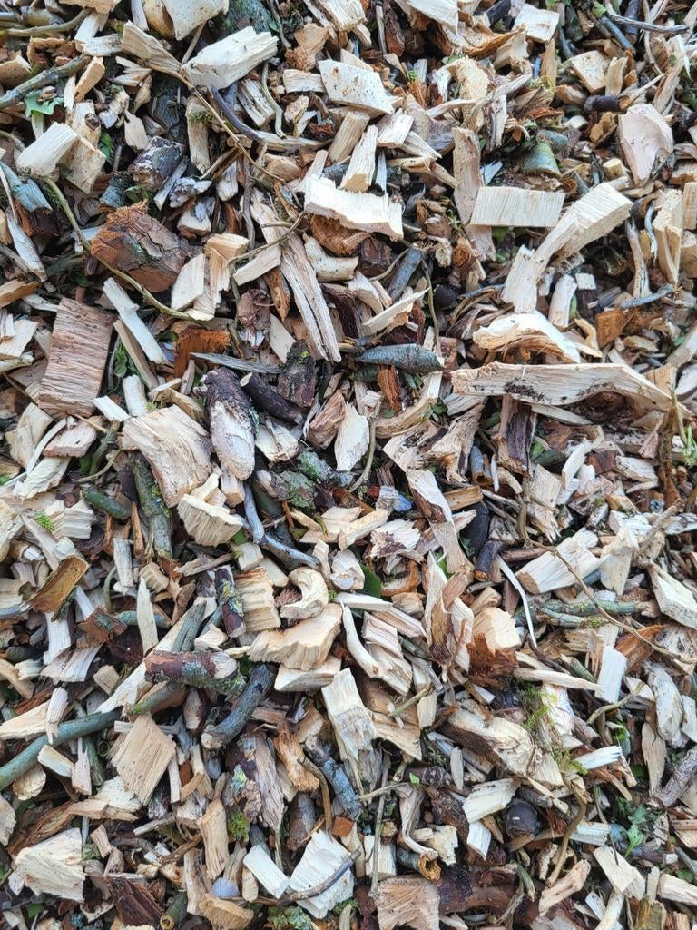 Mooie houtsnippers zonder blad, Ophalen