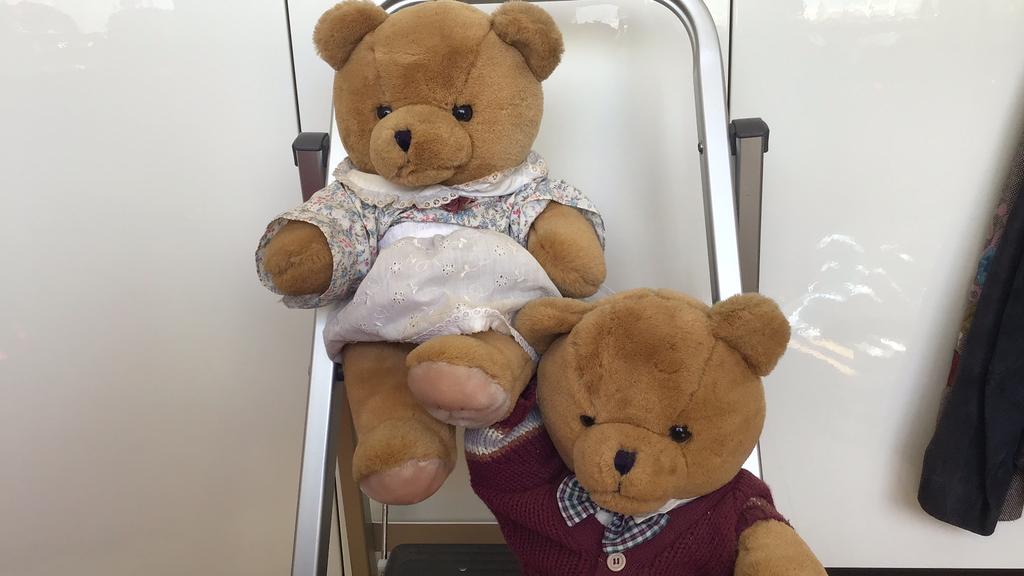 Twee Bijenkorf beren, Ophalen of Verzenden, Zo goed als nieuw, Stoffen beer, Overige merken