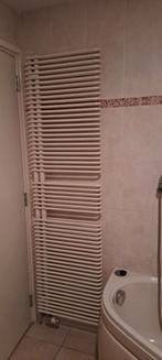 Designradiator Pergamon 180x50 cm, Ophalen, Gebruikt, Radiator, Minder dan 60 cm