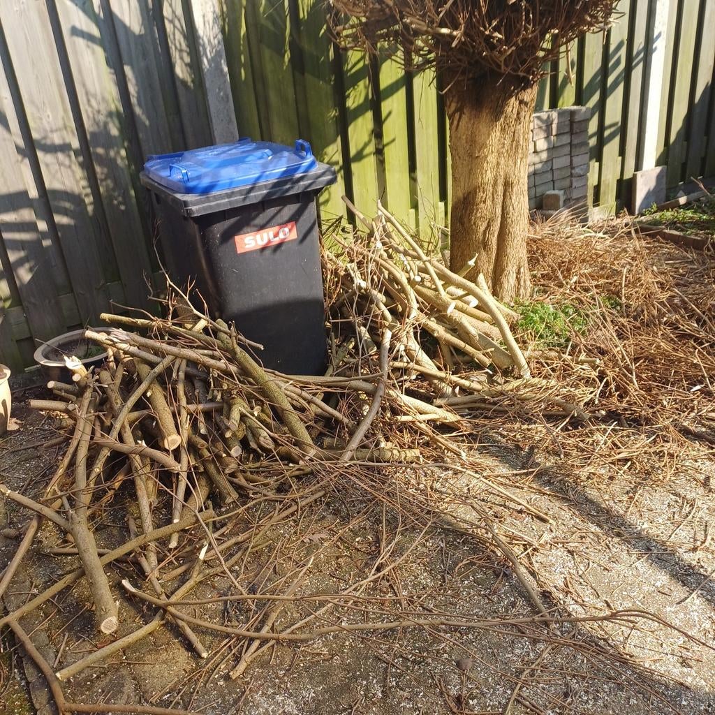 Takken brandhout droog, Minder dan 3 m³, Ophalen of Verzenden