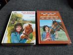 2 Paardenboeken, Ophalen of Verzenden, Zo goed als nieuw, Jetty Donker, Fictie algemeen