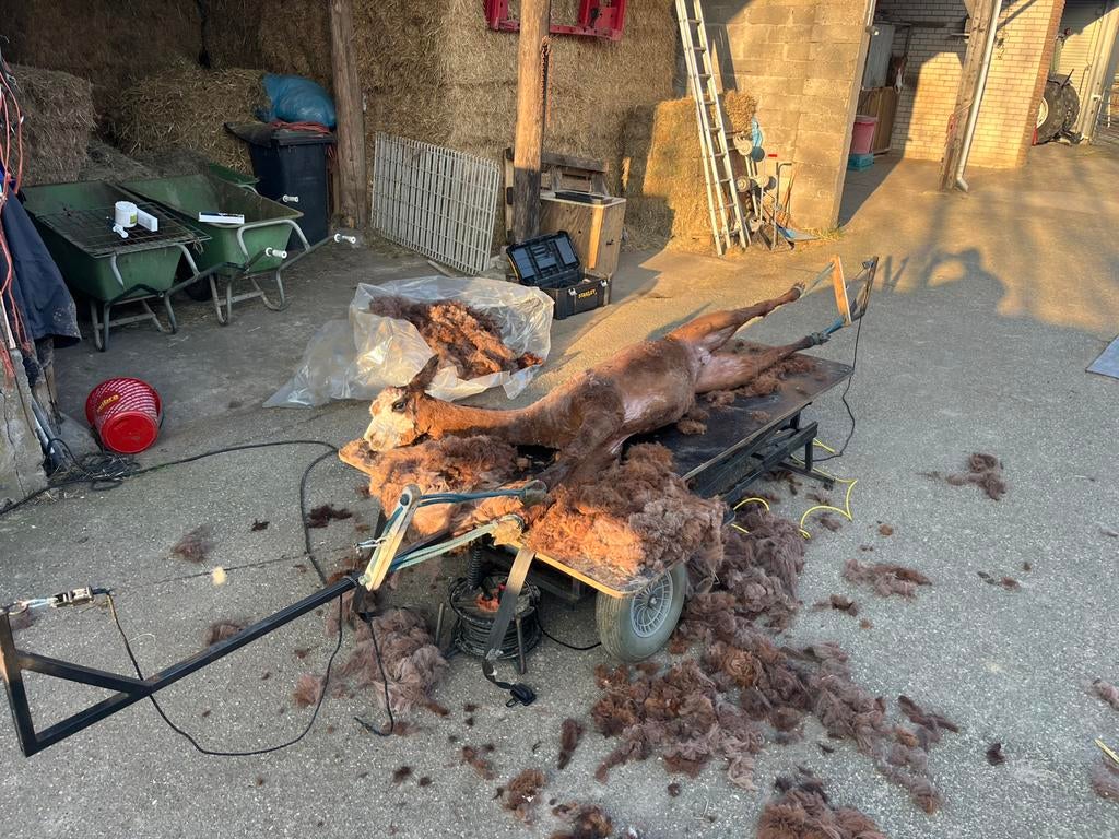 Alpaca scheren, Komt aan huis, Verzorging