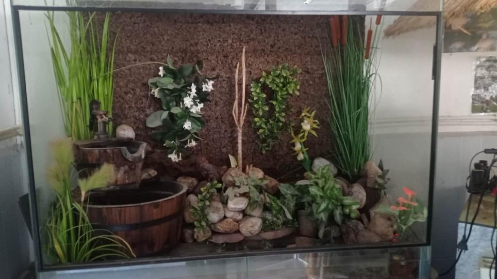 Groot volledig ingericht terrarium (130x110x60), Dieren en Toebehoren, Ophalen