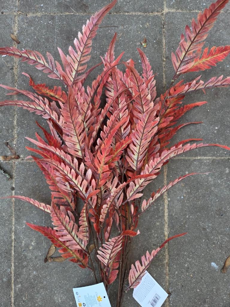 CLAYRE & EEF - BONTE KUNST VAREN