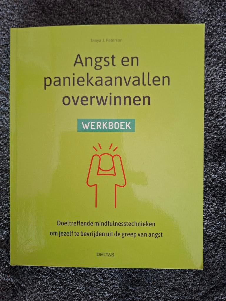 Angst en paniekaanvallen overwinnen - Werkboek, Boeken, Ophalen of Verzenden, Zo goed als nieuw, Klinische psychologie, Tanya J. Peterson