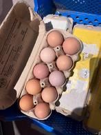 Poule de bresse broedeieren, Dieren en Toebehoren, Pluimvee, Geslacht onbekend, Kip