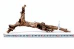 Druivenhout (Medium) voor Terrarium (stuk nr4), Nieuw, Ophalen of Verzenden, Nvt, Nvt