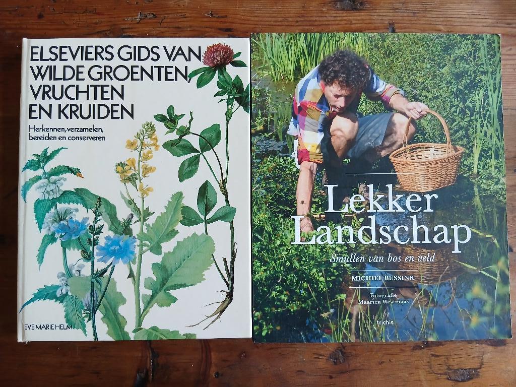 Wildplukken, Wilde groenten, vruchten en kruiden (2 boeken), Ophalen of Verzenden, Zo goed als nieuw, Kruiden en Alternatief, Eve Marie Helm - Michiel Bussink
