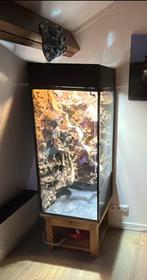 Terarrium incl inrichting, Dieren en Toebehoren, Reptielen en Amfibieën | Toebehoren, Ophalen, Zo goed als nieuw