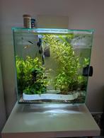 Aquarium fluval, Vis