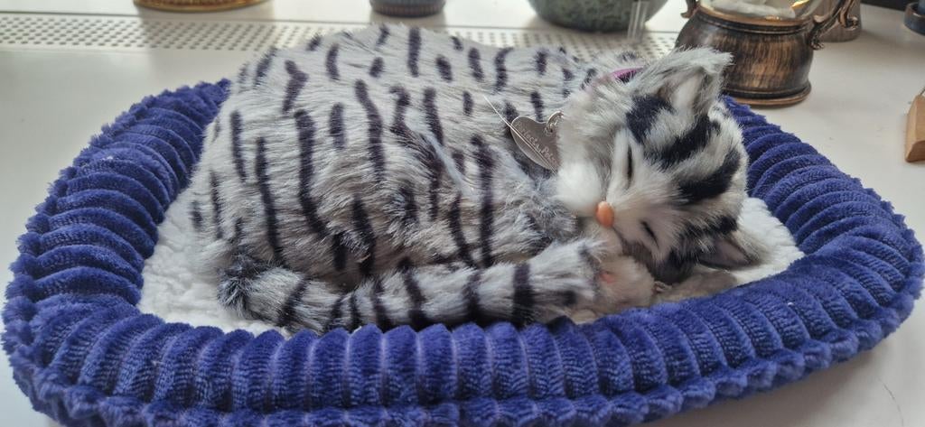 De perfekte petz grijs gestreepte kat, Ophalen of Verzenden, Zo goed als nieuw