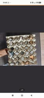 120 Bulgaarse mineralen, Ophalen of Verzenden