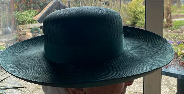 Donkergroene hoed van Panama stro, Kleding | Dames, Hoeden en Petten, Gedragen, Hoed, 55 cm (S, 6⅞ inch) of minder, Ophalen