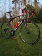 Specialized Roubaix Racefiets - Carbon Frame, Overige merken, 28 inch, Gebruikt, Carbon