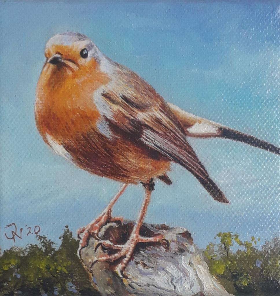 MOOI ROODBORSTJE ZIT OP EEN BOOMSTAM>KLEURRIJKE VOGEL, Ophalen of Verzenden