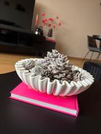 Schaal Kwantum, Ophalen, Zo goed als nieuw, Rond, Schaal