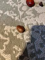 Rode steen, Ophalen of Verzenden, Zo goed als nieuw