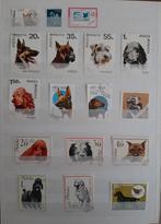 2 Kaarten Postzegels Mooiste Honden No. 1 Gestempeld, Ophalen, Gestempeld, Dier of Natuur