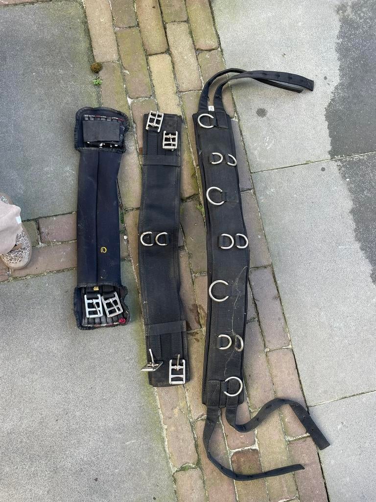 Neopreen singel en longeer singel, Dieren en Toebehoren, Ophalen of Verzenden, Gebruikt