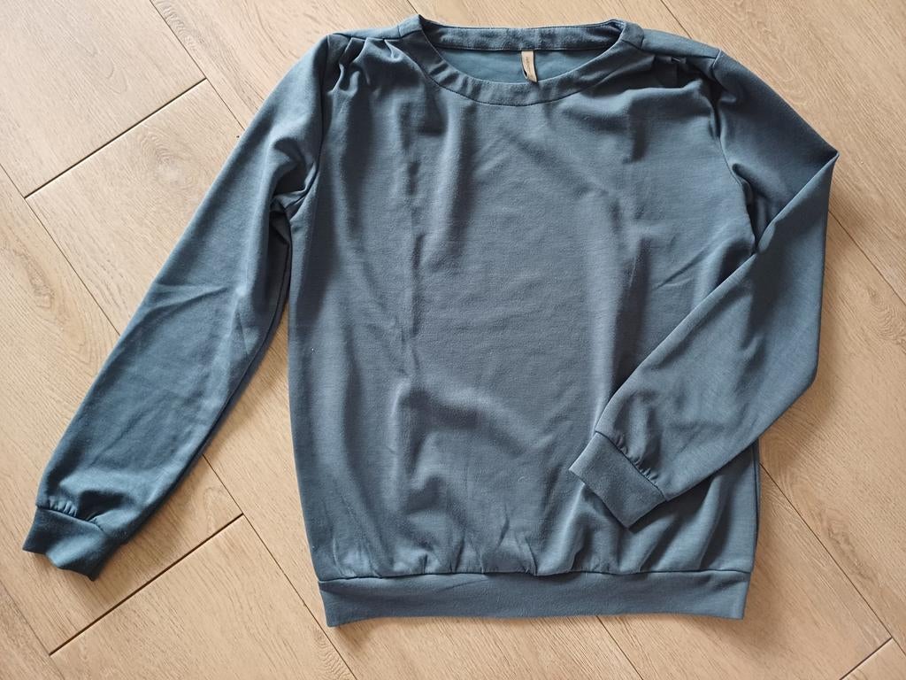 Sweater Soyaconcept maat S, izgs, Ophalen of Verzenden, Zo goed als nieuw, Maat 48/50 (M), Groen