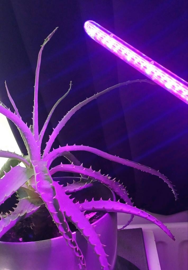 Nieuwe planten groeilamp, Ophalen of Verzenden