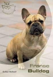 Franse Bulldog door E Verhoef, Verzenden, Zo goed als nieuw, Honden