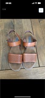 Skechers Bobs Sandalen Maat 40 - Zo goed als nieuw, Ophalen of Verzenden, Zo goed als nieuw, Sandalen of Muiltjes