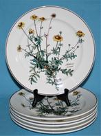 Villeroy & Boch " Botanica " Dinerborden 24cm, Huis en Inrichting, Keuken | Servies, Ophalen of Verzenden, Zo goed als nieuw, 2de Hands