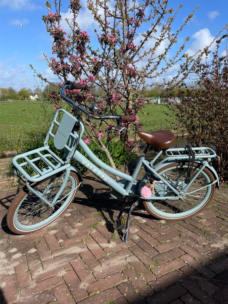 Popal velatta meisjes fiets 22 inch, Fietsen en Brommers, Ophalen, Zo goed als nieuw, 22 inch