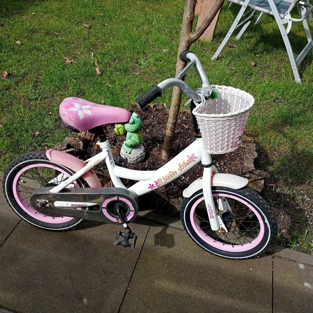 Kinderfiets 14 inch/ Meisjes fiets 14 inch, Ophalen