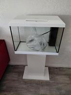 Aquarium  nieuwe  afmetingen  60 cm lang breed 30 cm hoogte