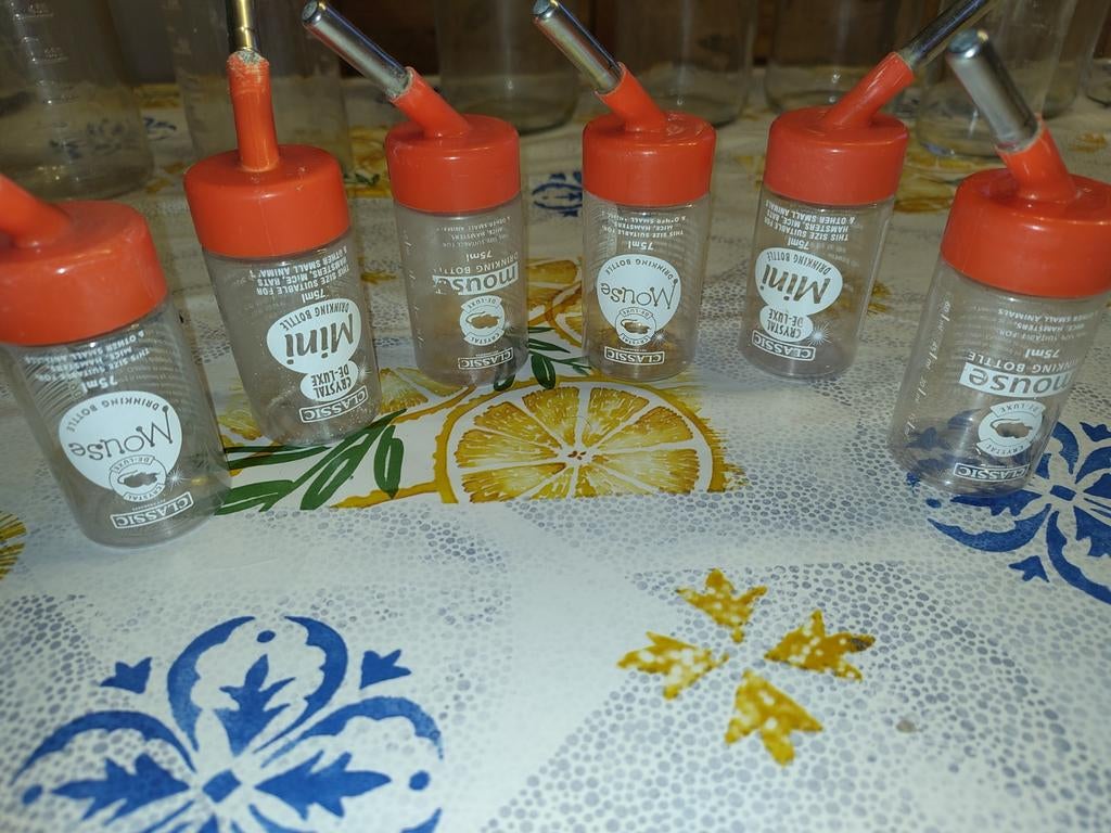 Drinkflesjes hamster muis rat 75 ml, Ophalen, Gebruikt, Overige typen
