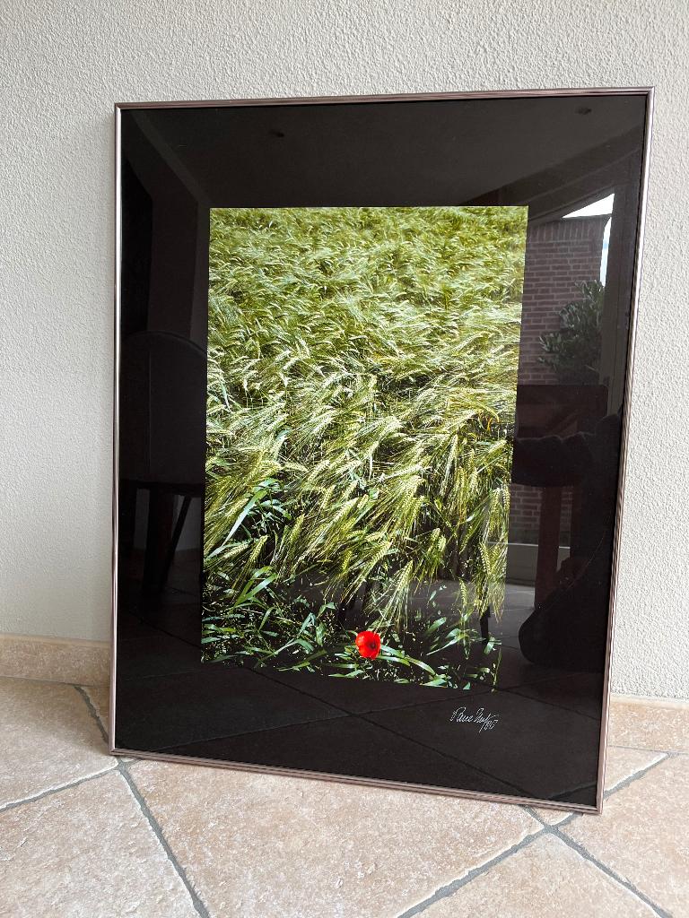 Paul Huf - Poppy (1988, gesigneerd), Ophalen of Verzenden