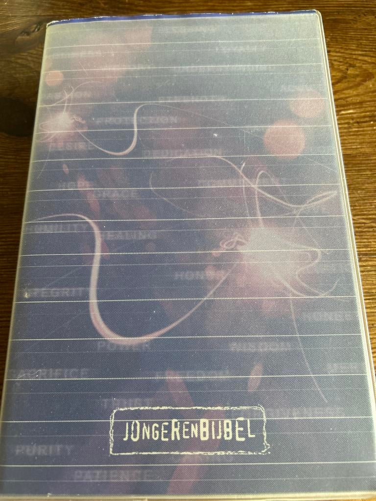 Jongerenbijbel, Boeken, Ophalen of Verzenden, Gelezen, Christendom | Protestants
