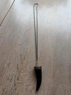 Ketting met als hanger een soort grote tand, Ophalen of Verzenden, Zo goed als nieuw, Zilver, Overige materialen