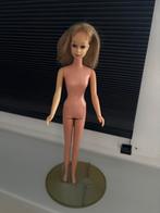 Barbie francie blond haar Japan van Mattel., Ophalen of Verzenden, Gebruikt, Barbie