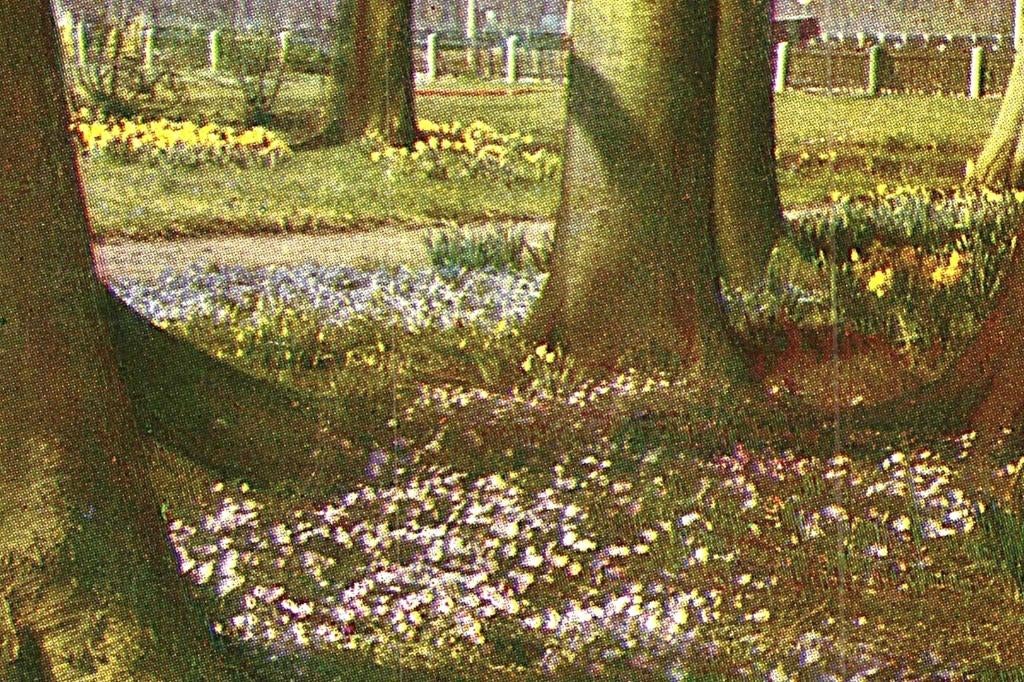 914387 Lisse ZH 1951 Keukenhof Gelopen met postzegel, Ophalen of Verzenden, 1940 tot 1960, Gelopen, Zuid-Holland