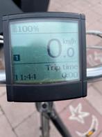 Displey Koga Sparta Batavus, Ophalen of Verzenden, Gebruikt