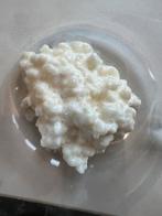 🌟Melkkefir plantje biologische probiotica voor je darmen, Ophalen, Nieuw, Overige typen
