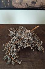 Grote vergrijsde dadeltak, Ophalen of Verzenden, Zo goed als nieuw