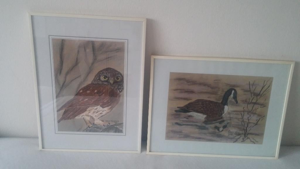 2 mooi ingelijste pastel tekeningen van Cees Versluis., Ophalen of Verzenden
